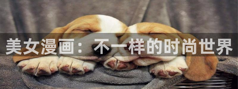 酷漫屋app下载安装
