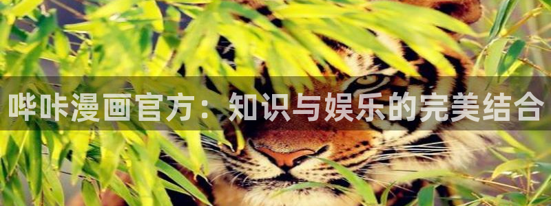 酷漫屋官网